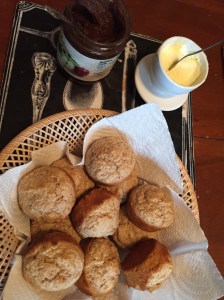 Maine weekend and crockpot meal 057