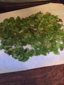 english muffins and frittata 015