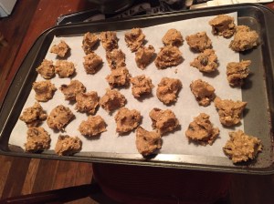 November miscellaneous 026