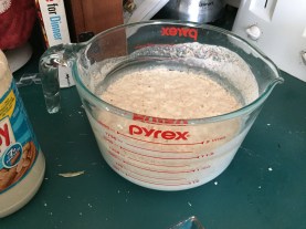 first snow storm 008