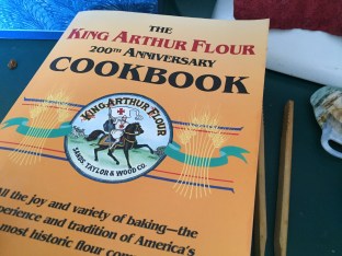 first snow storm 010