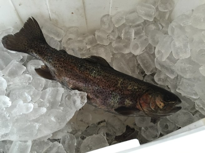 20160518_211813397_iOS