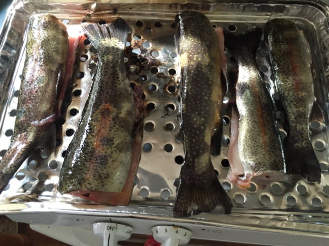 20160518_213606973_iOS