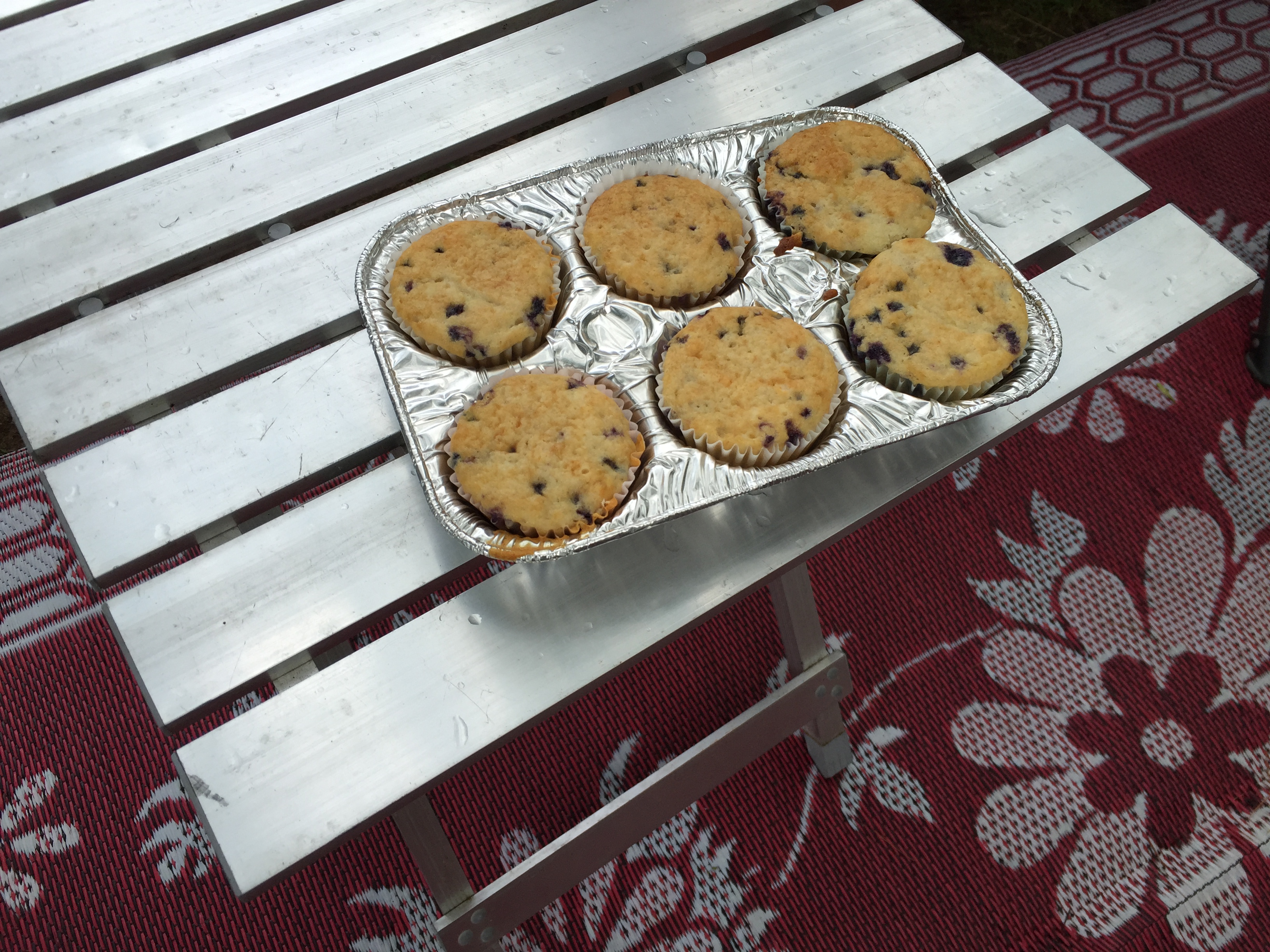 20160821_130315585_iOS