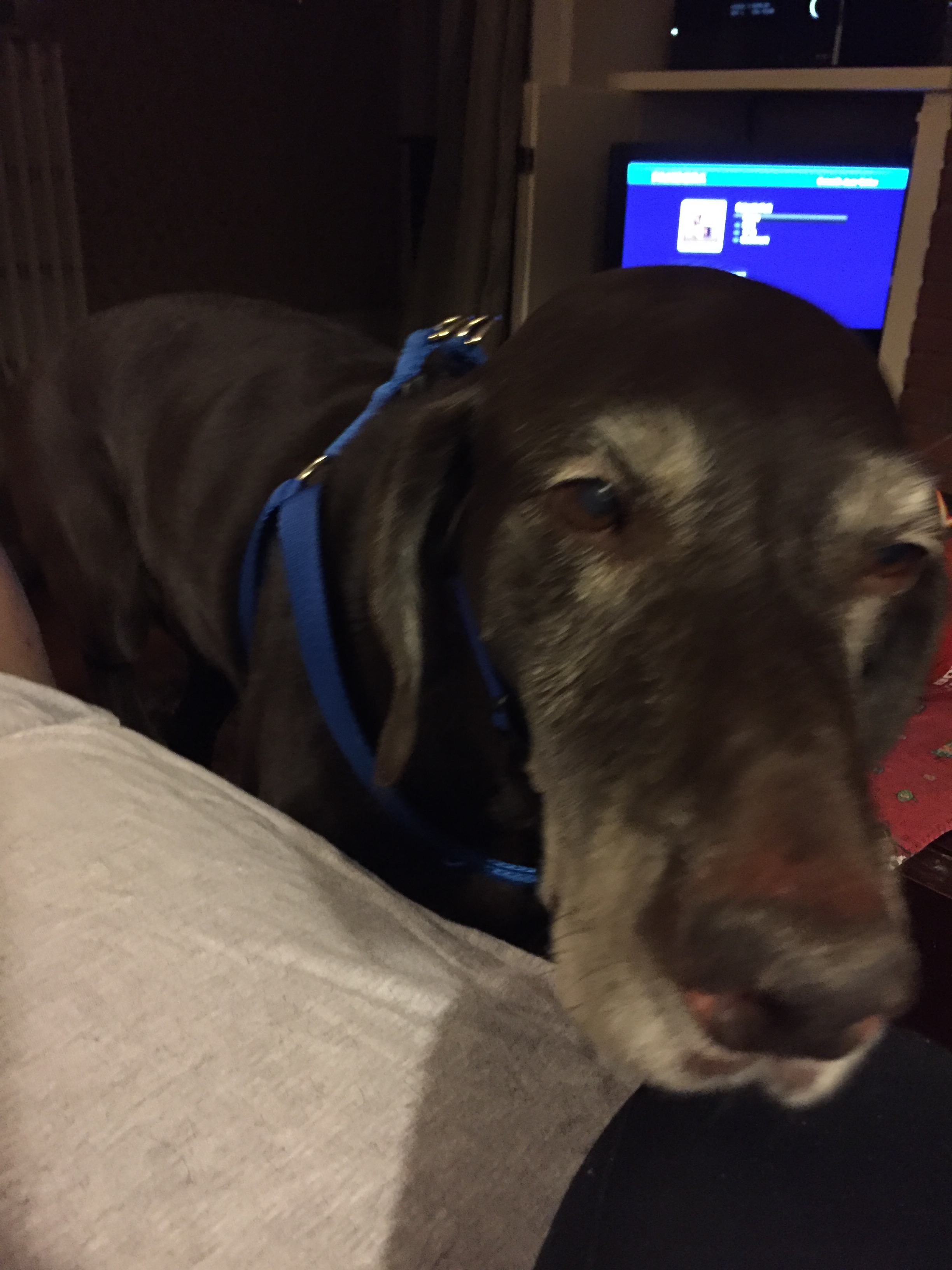 20161202_004008678_ios