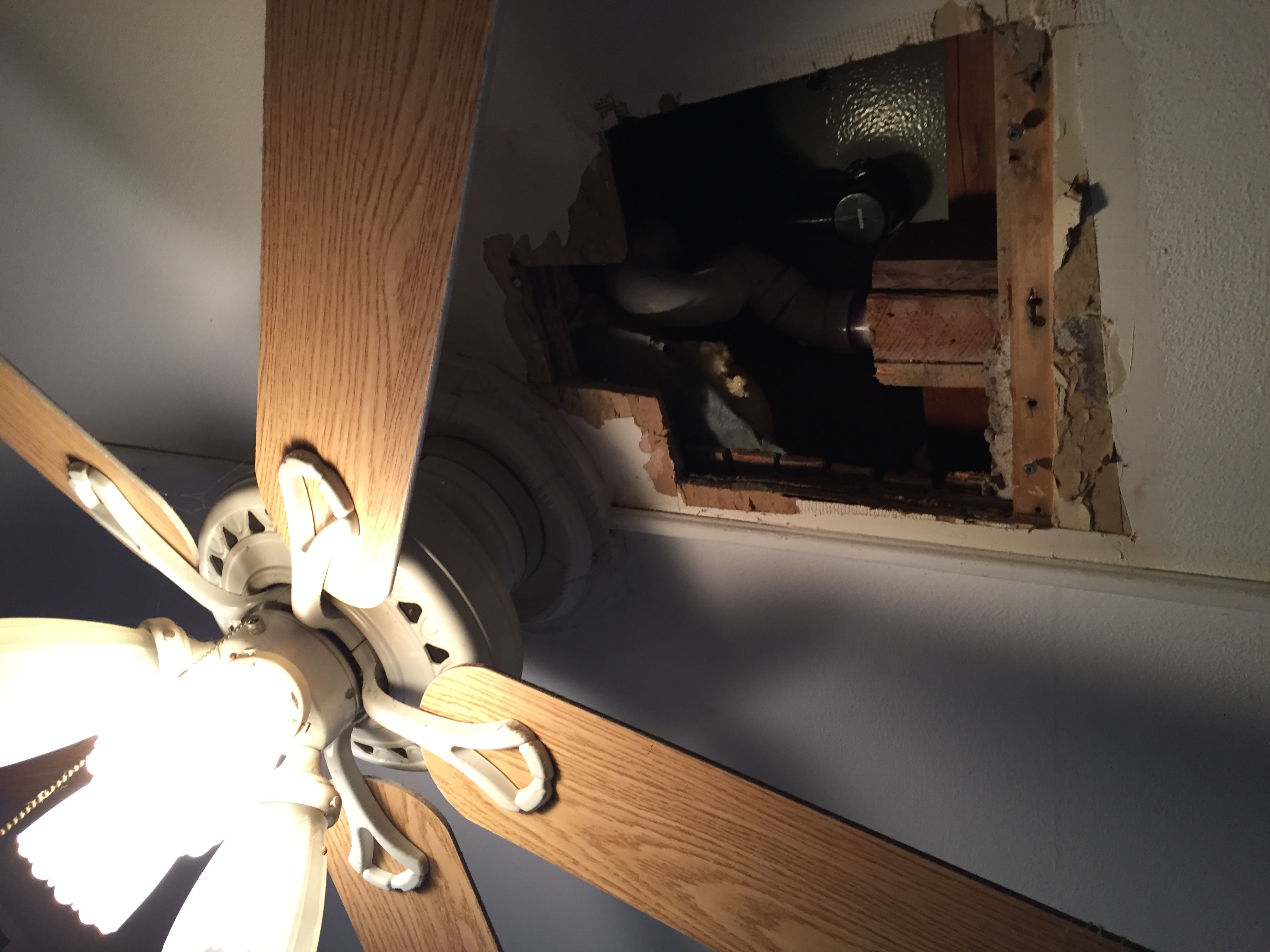 20170114_205124557_ios